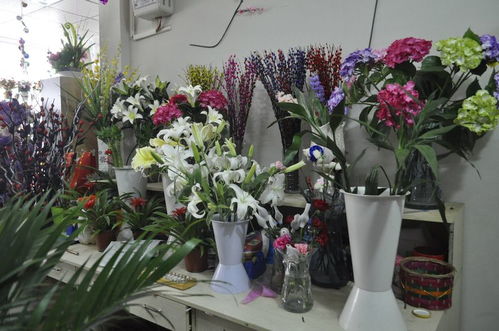 中牟丽丽花坊